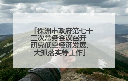 株洲市政府第七十三次常务会议召开 研究低空经济发展、大抓落实等工作